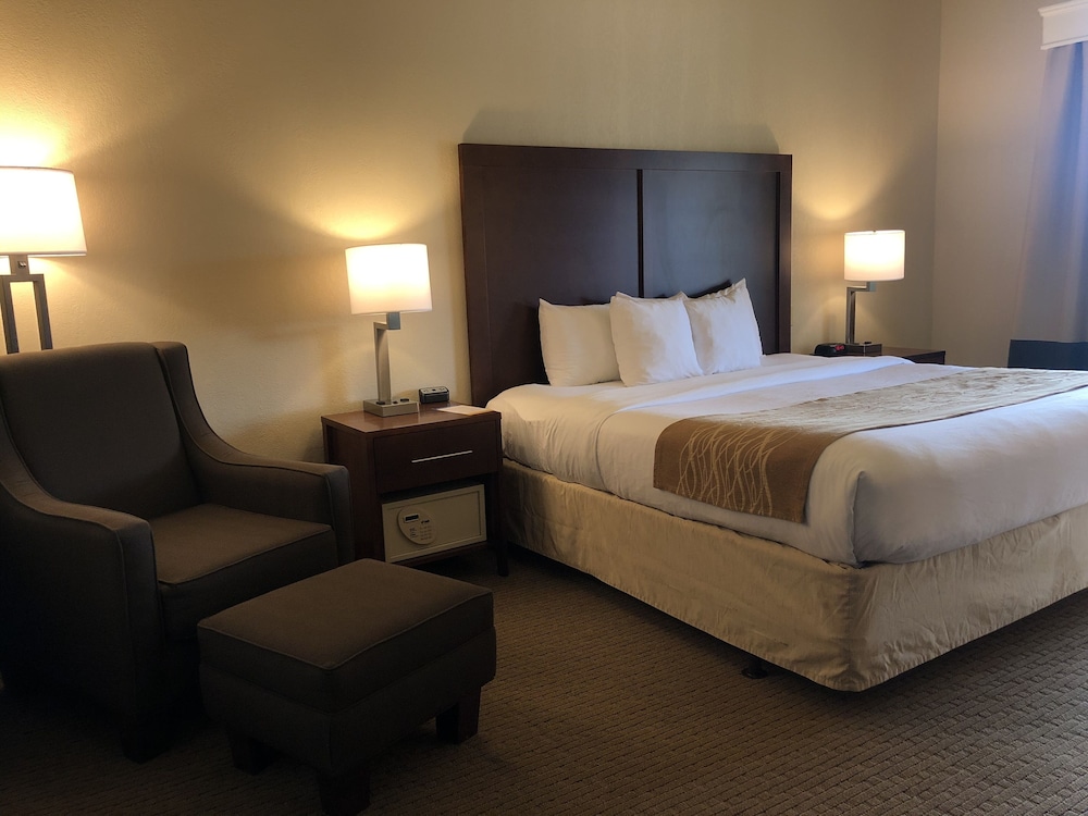 Comfort Inn & Suites Rogersville 11/37