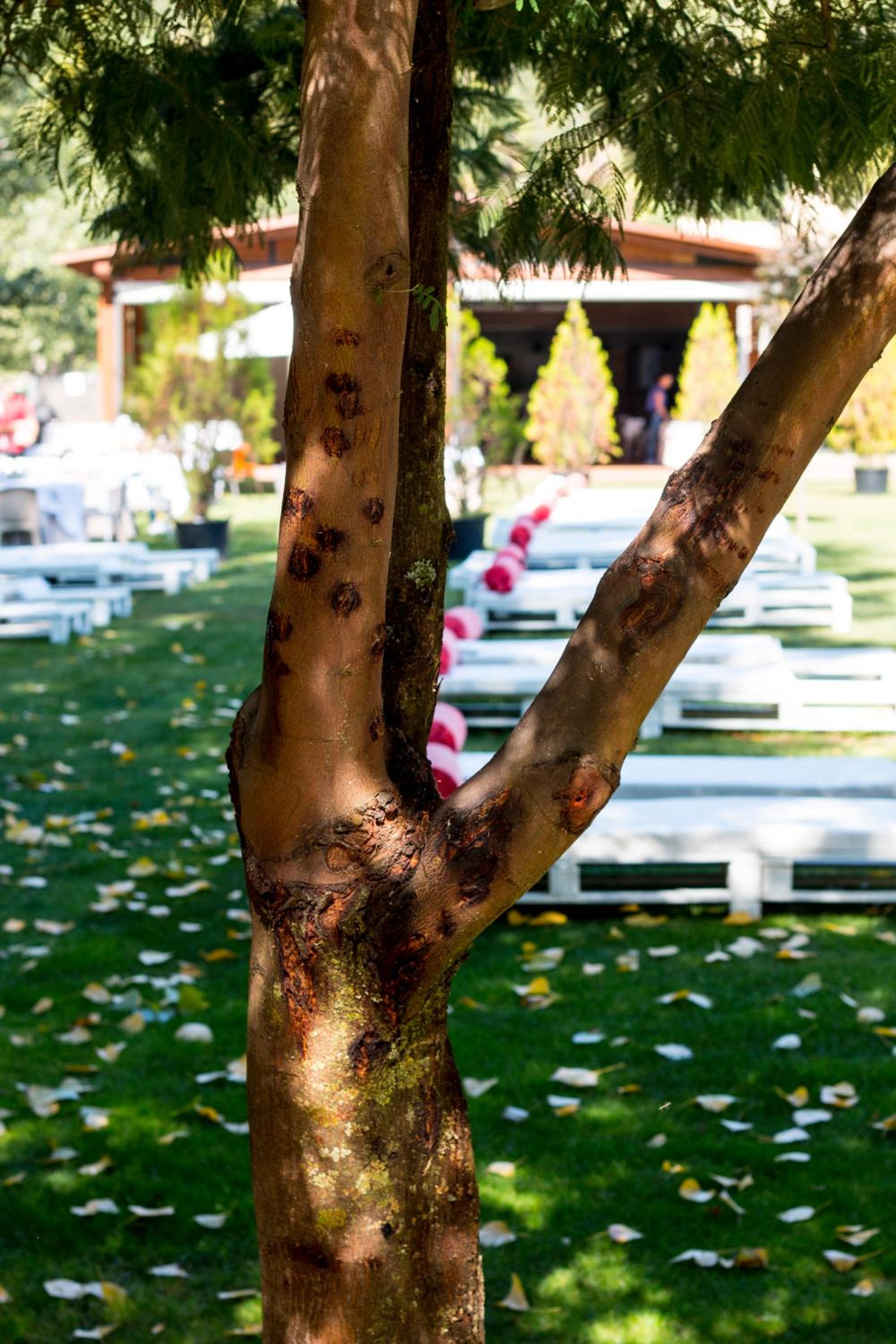 Hotel Balneario Valle del Jerte 46/50