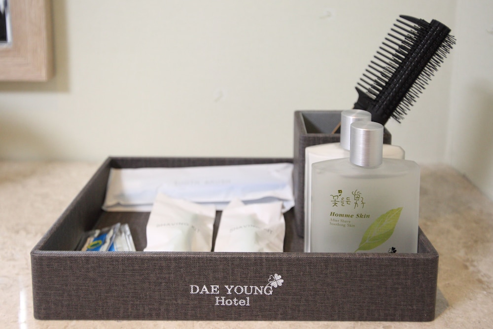 Daeyoung Hotel Seoul 50/66