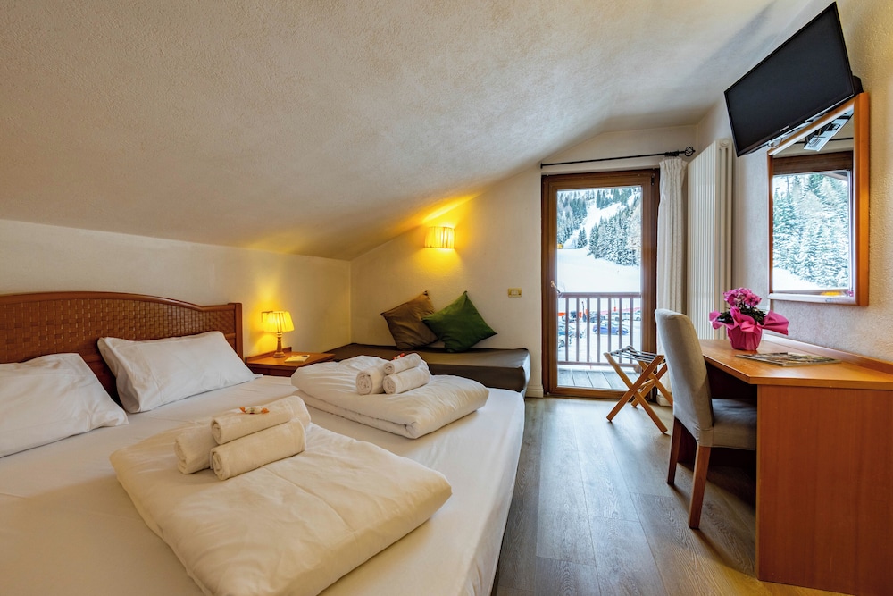 Hotel Grizzly 8/50