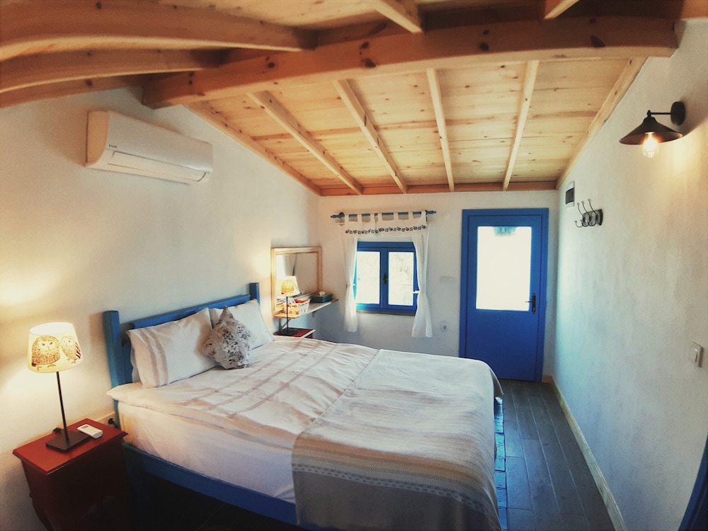 Alterna Koy Evi 5/50