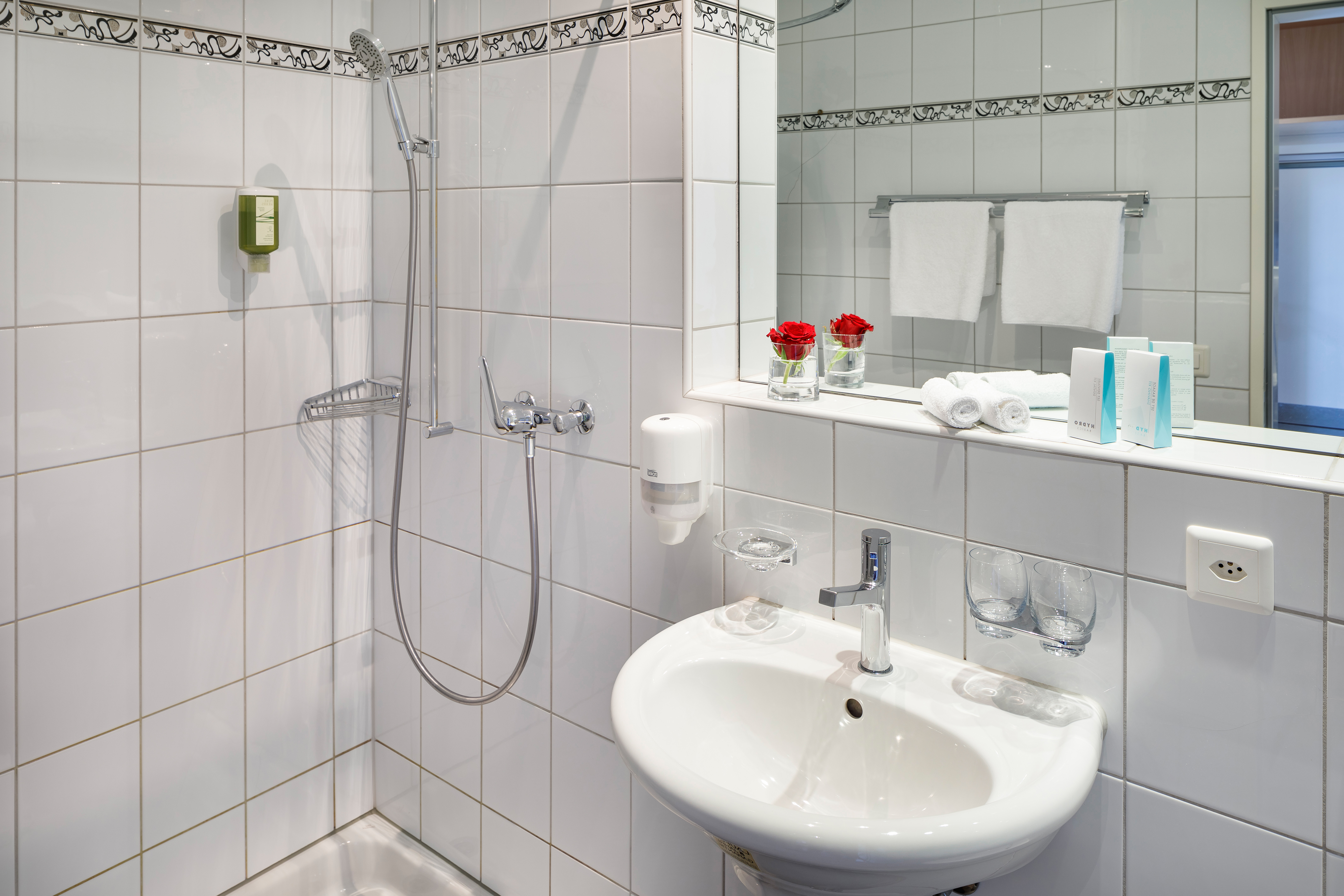 HALLWIL SWISS QUALITY SEEHOTEL 20/22