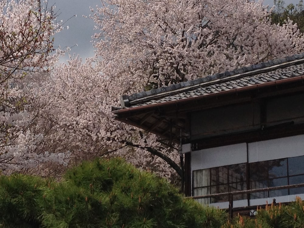 Cultural Property Of Japan Senzairo 5/50