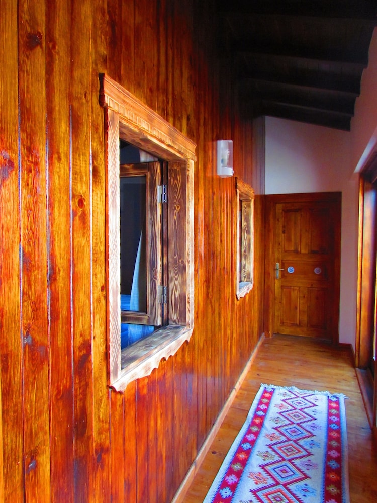 Amazon Petite Palace 21/50
