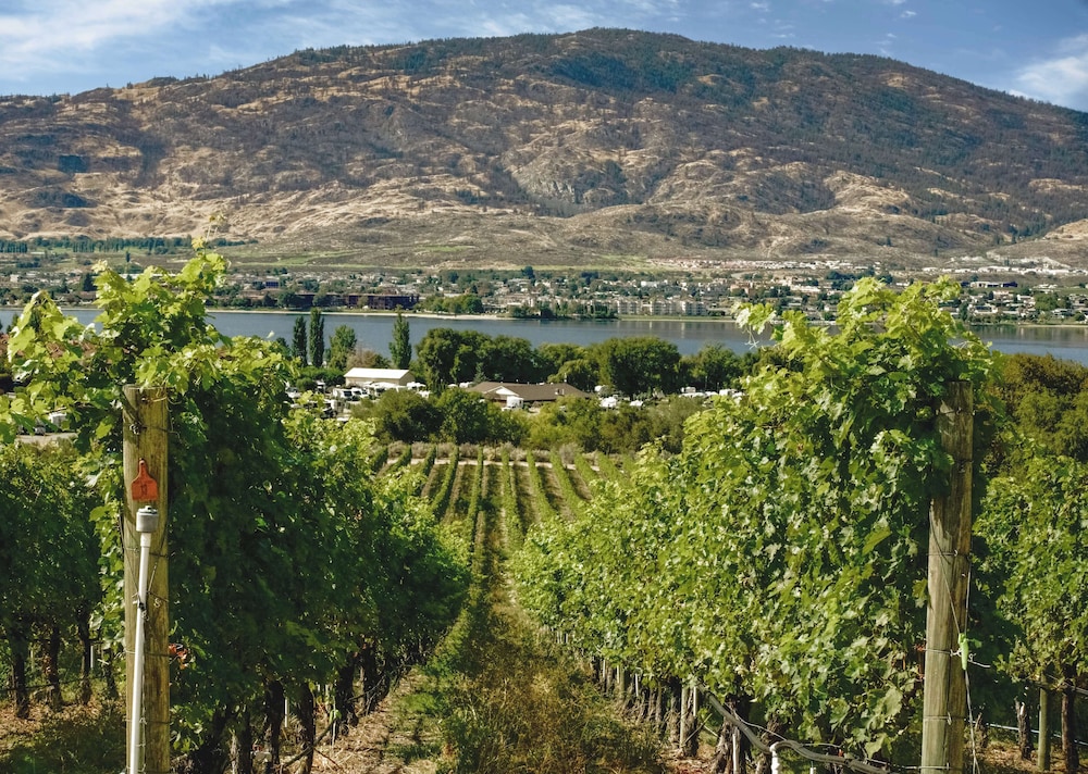 Coast Osoyoos Beach Hotel 42/50