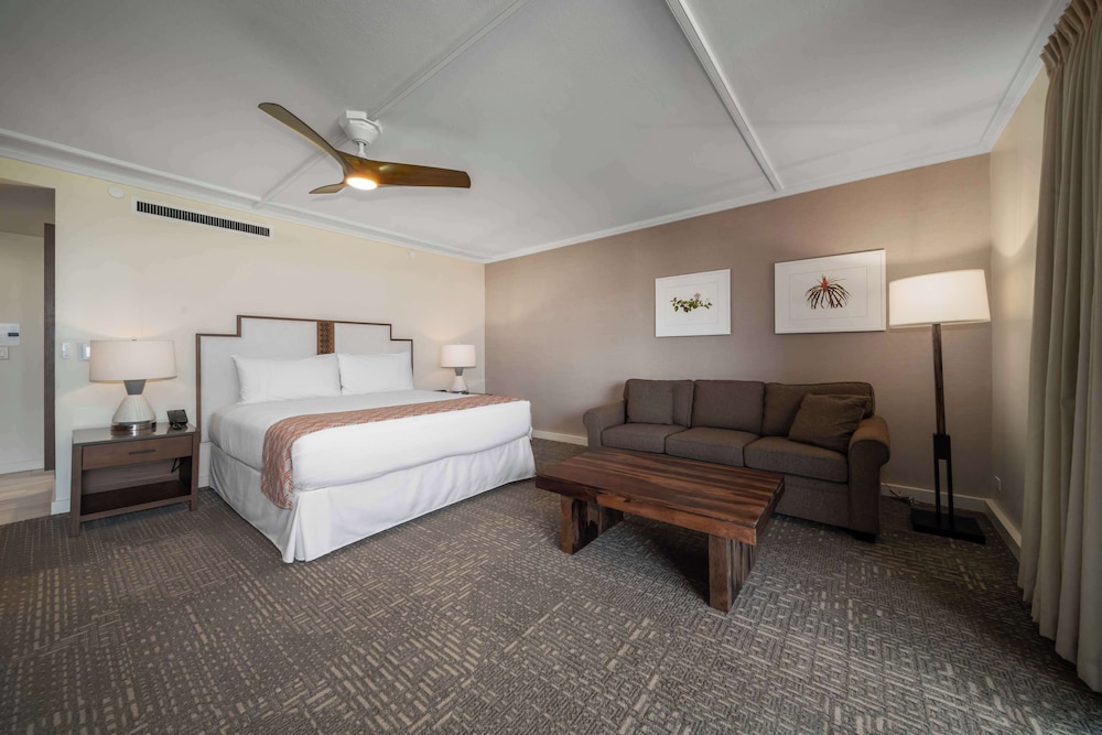 Courtyard, Premium, Junior Suite, King Bed, Sofa