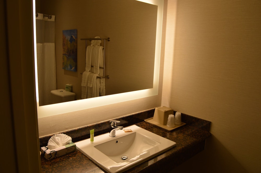 Yosemite Cedar Lodge 58/59