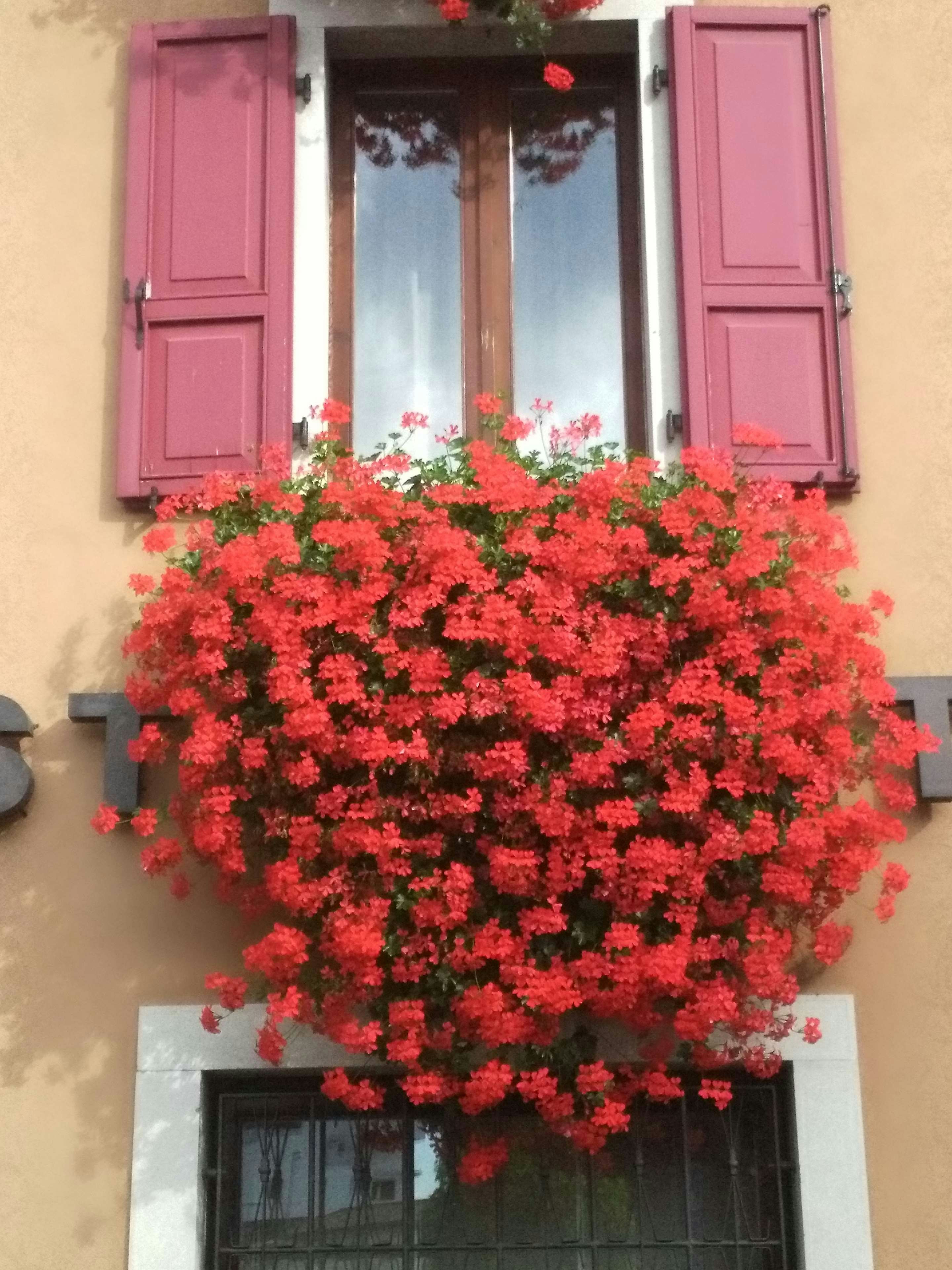 San Giorgio 4/61
