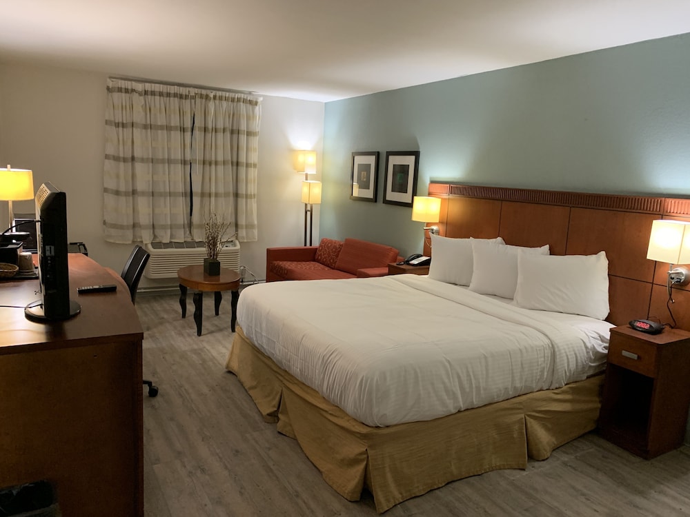 ECONO LODGE AND SUITES(Orange - TX) 21/53