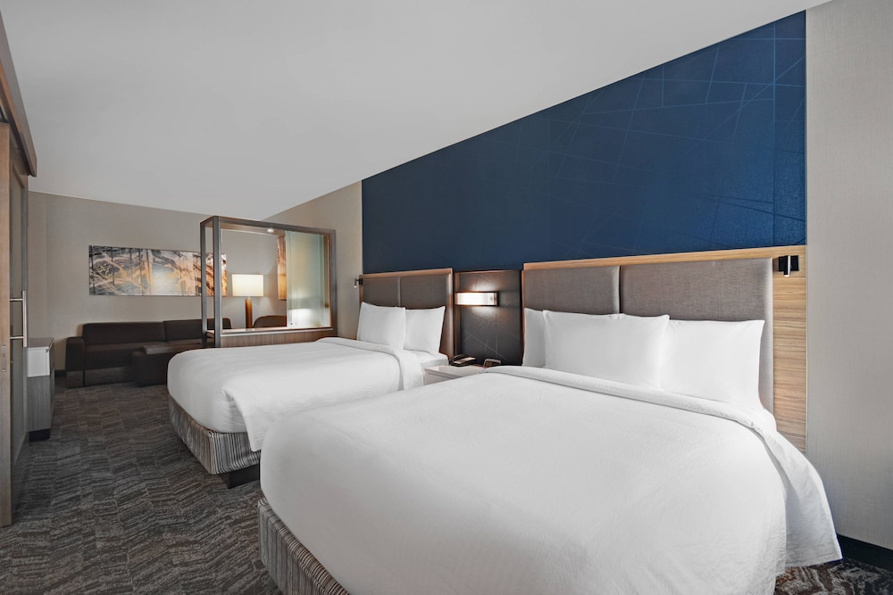 SpringHill Suites by Marriott St. Paul Arden Hills 17/52