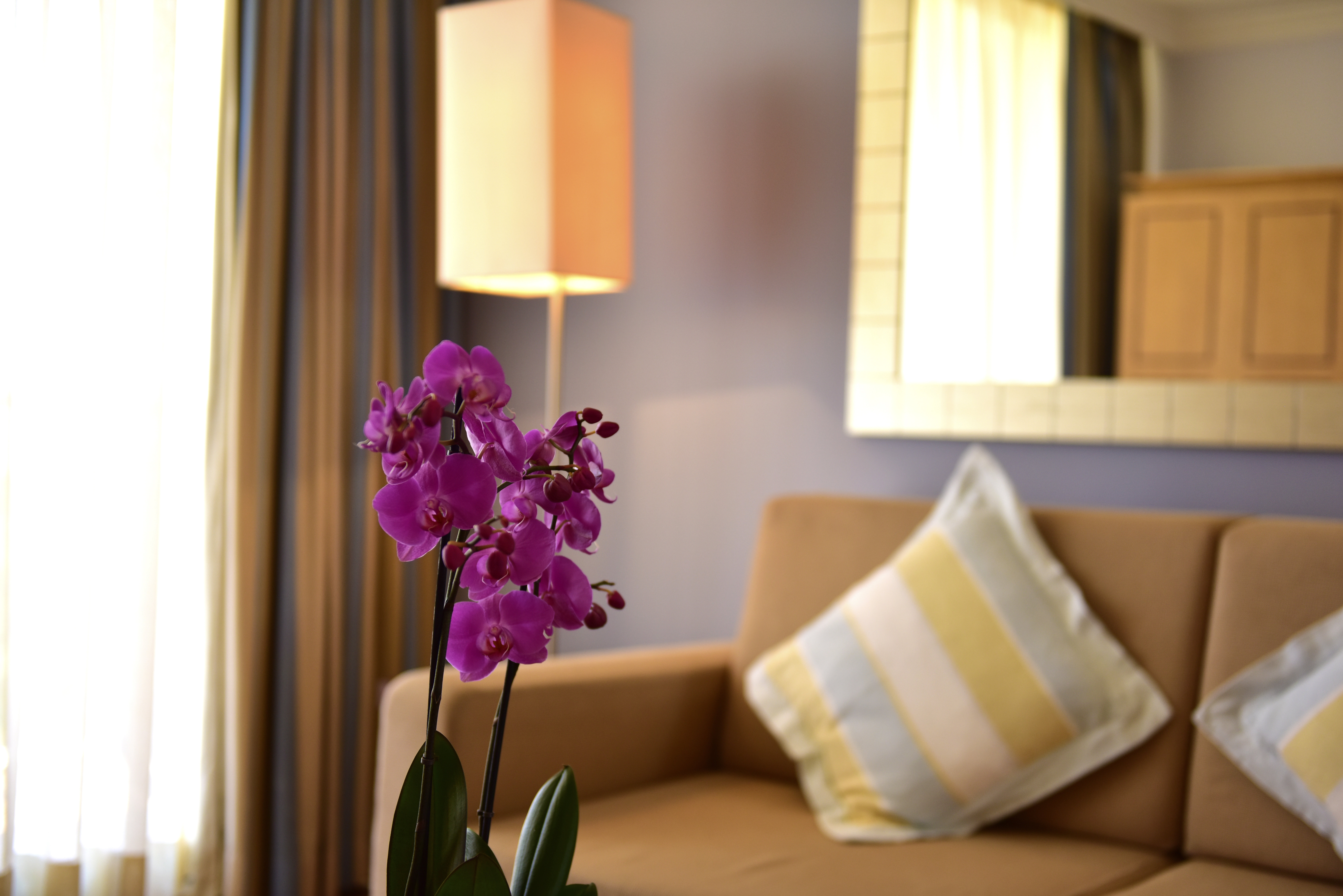 Pestana Alvor Park 33/84