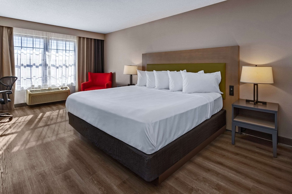 1 Bedroom, Suite, King Bed