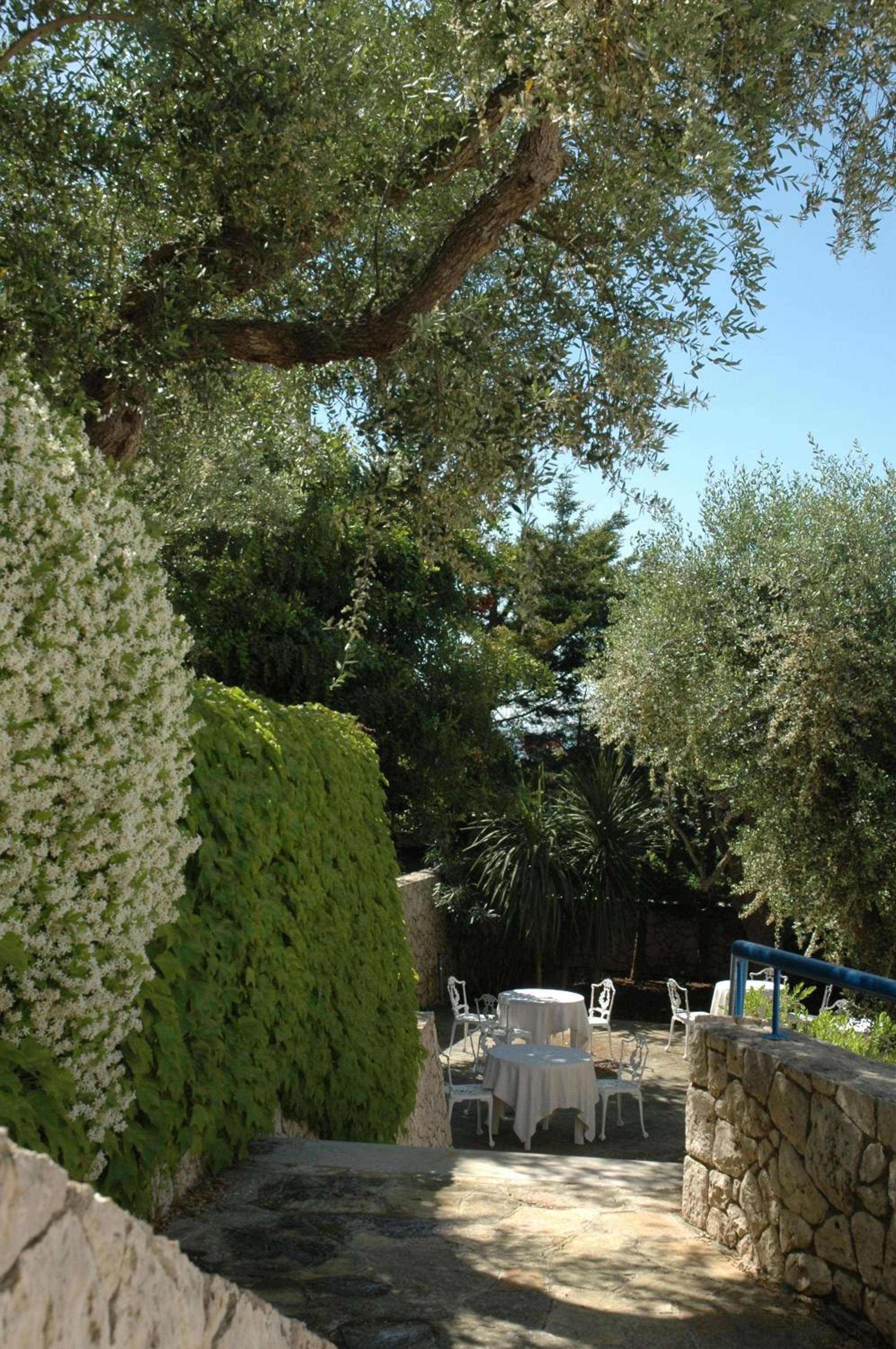Hotel Selenia 24/33