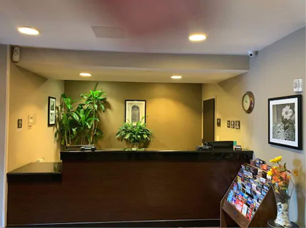 Cresthaven Inn Jamaica Jfk 8/50