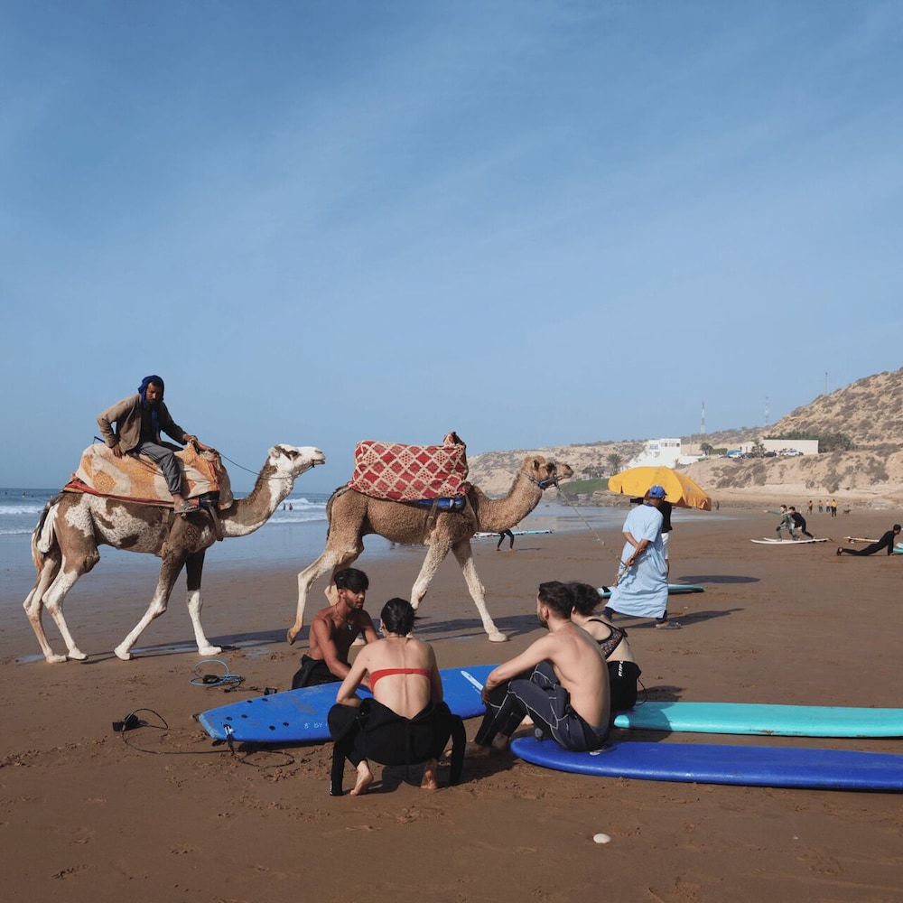 Original Surf Morocco 47/50