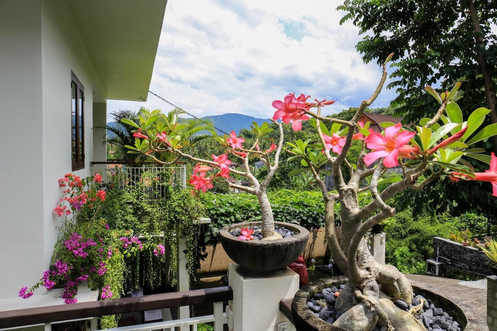 Dewivilla Hotel 39/50