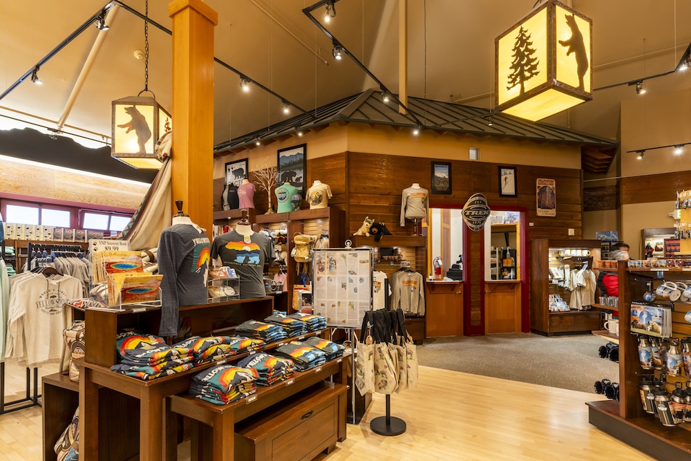 Old Faithful Snow Lodge & Cabins 21/37