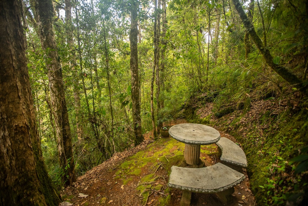 Dantica Cloud Forest Lodge 47/50