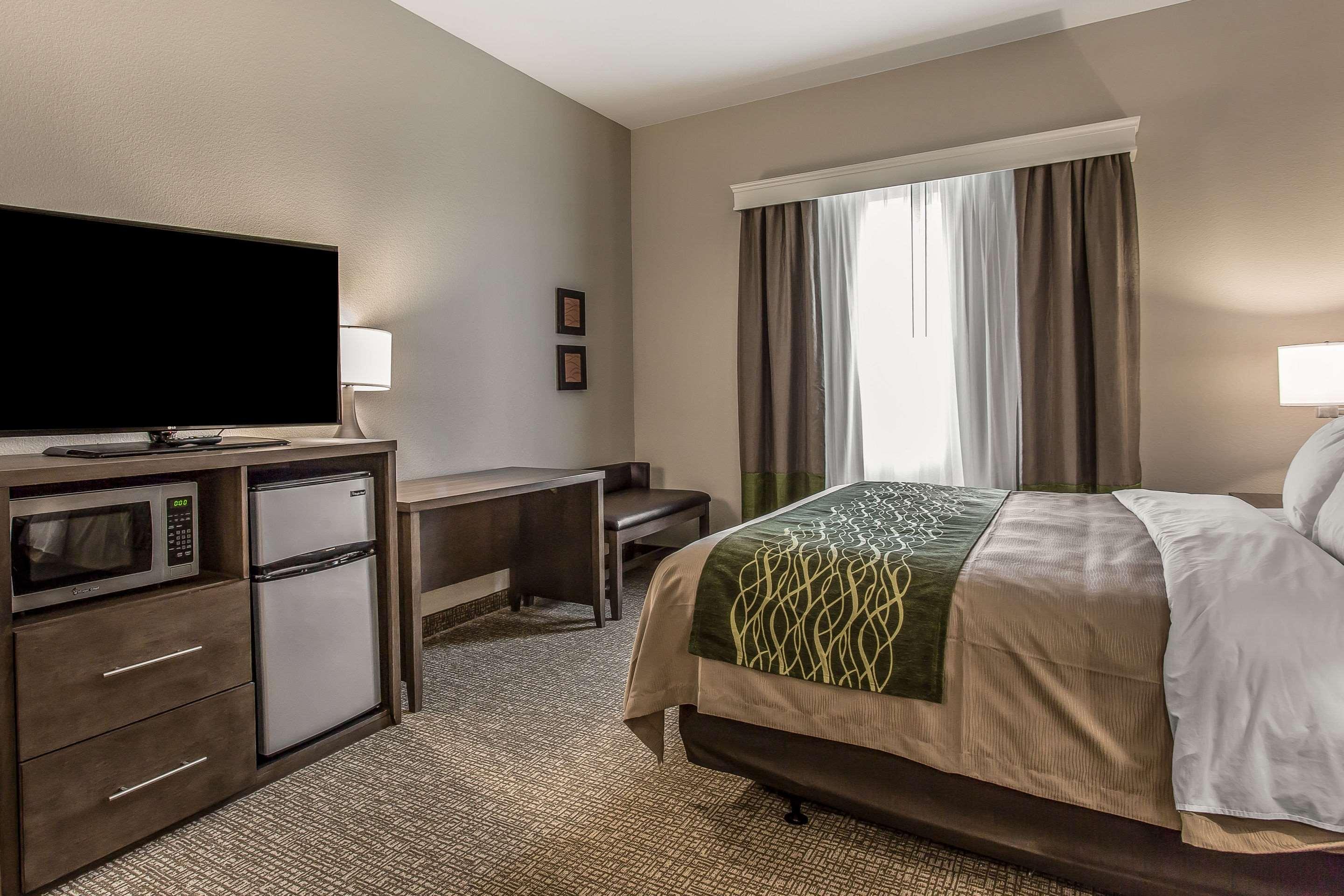 Suite, King and Queen Bed