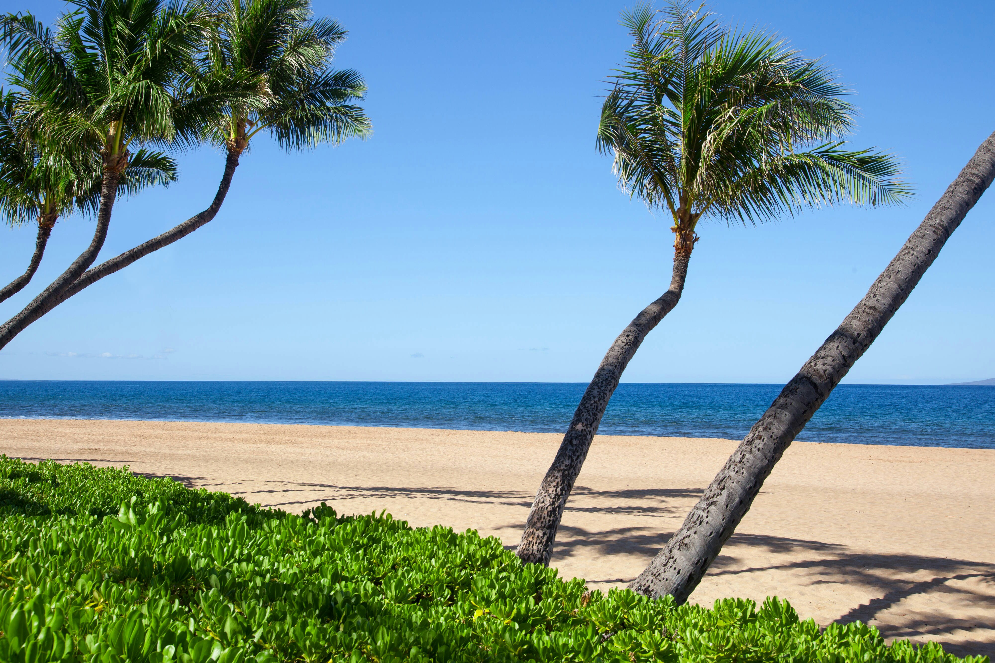 Marriott S Maui Ocean Club Lahaina Napili Towers 36/39