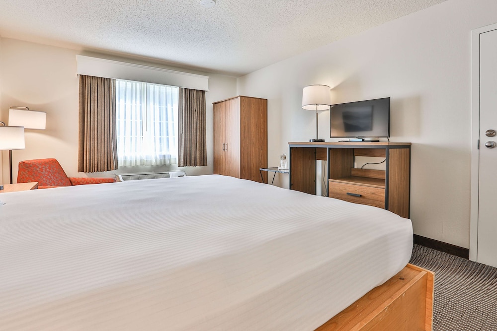 Standard, King Bed, Accessible