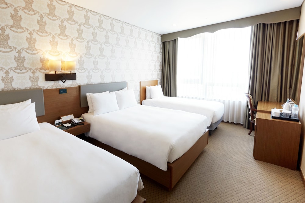 Migliore Hotel Seoul Myeongdong 21/40