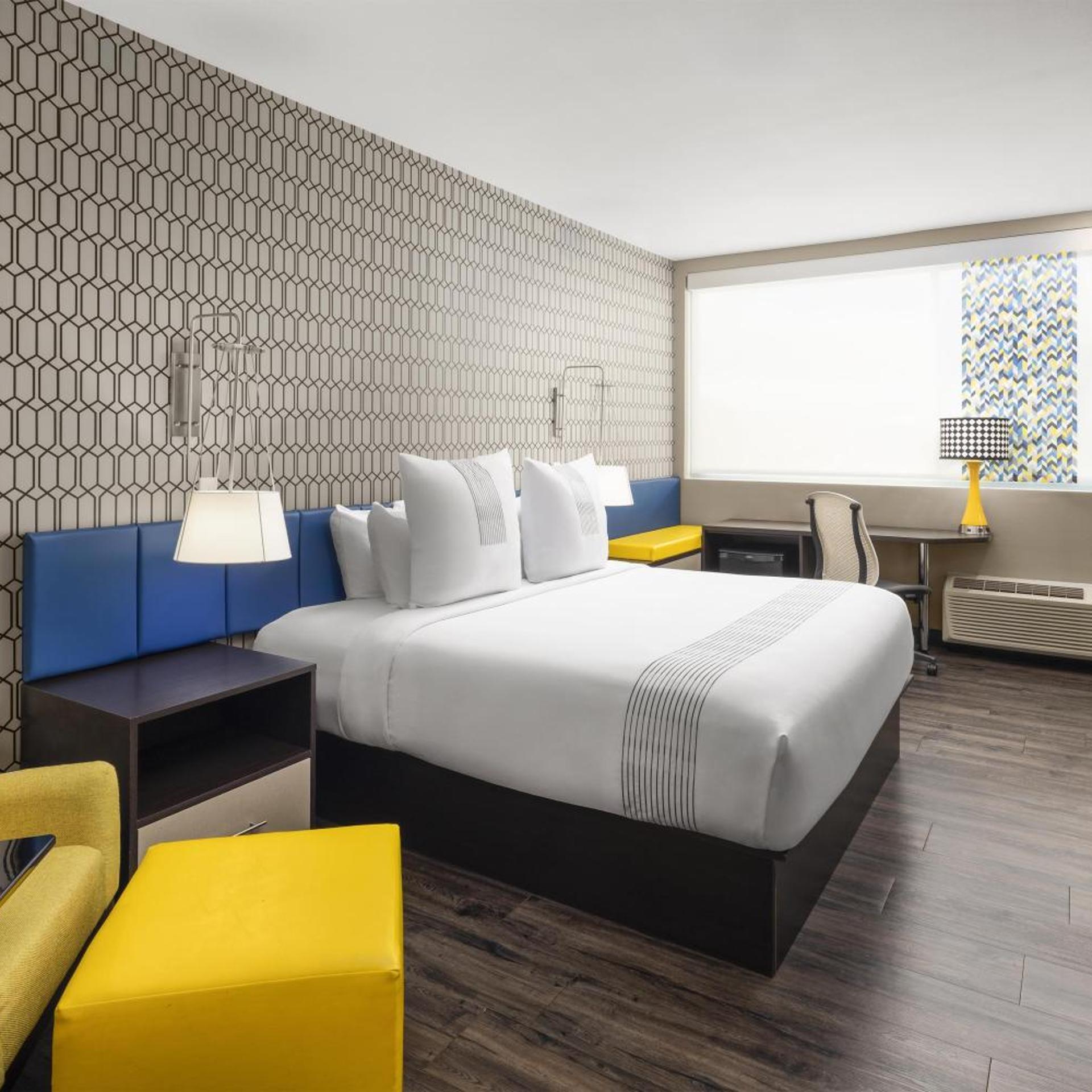Room, King Bed, Large