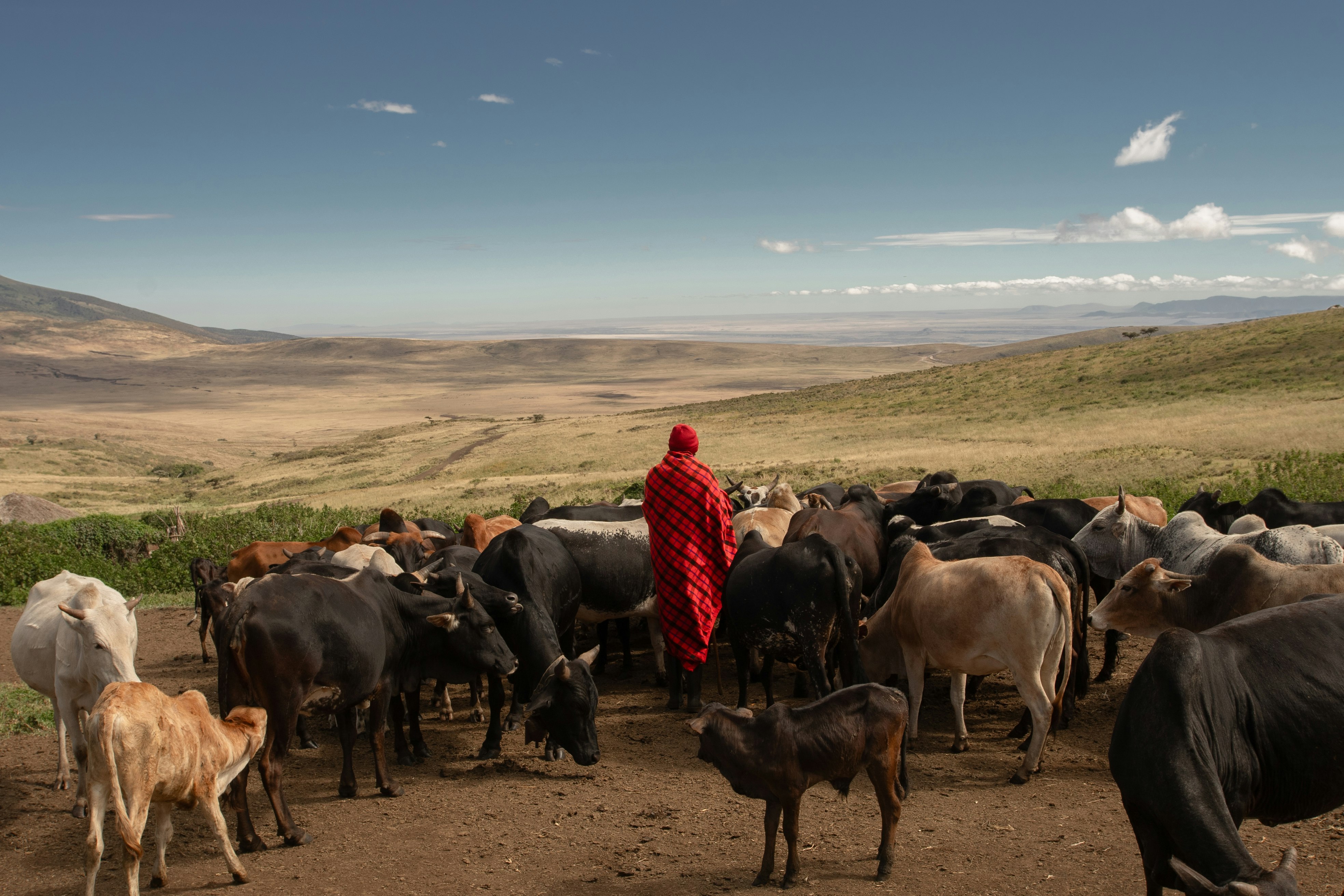 Ngorongoro Lodge member of Melia Collection 40/57