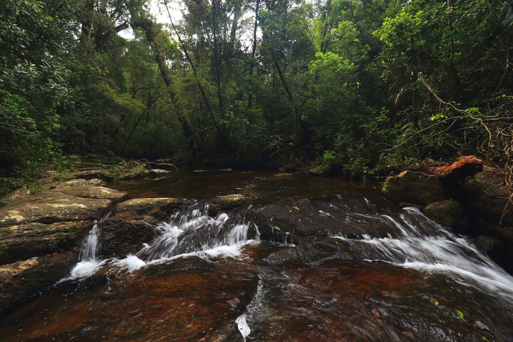 Rainforest Eco Lodge 12/41