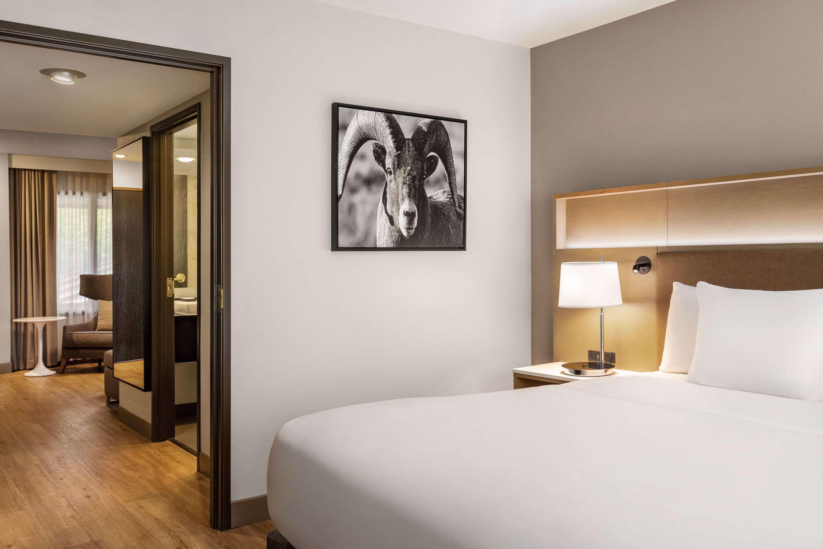 SUITE, KING BED