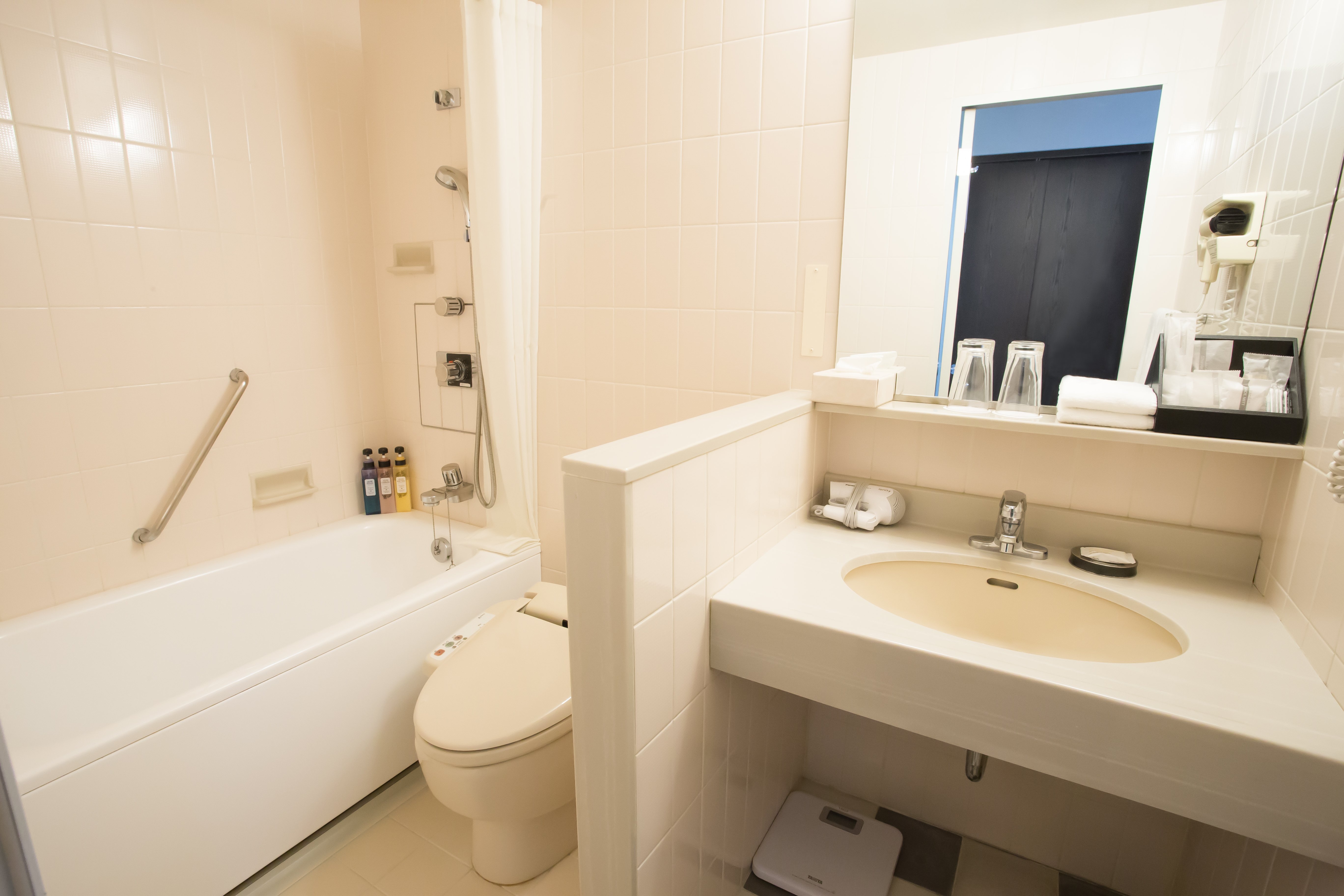 Ana Crowne Plaza Narita 72/73