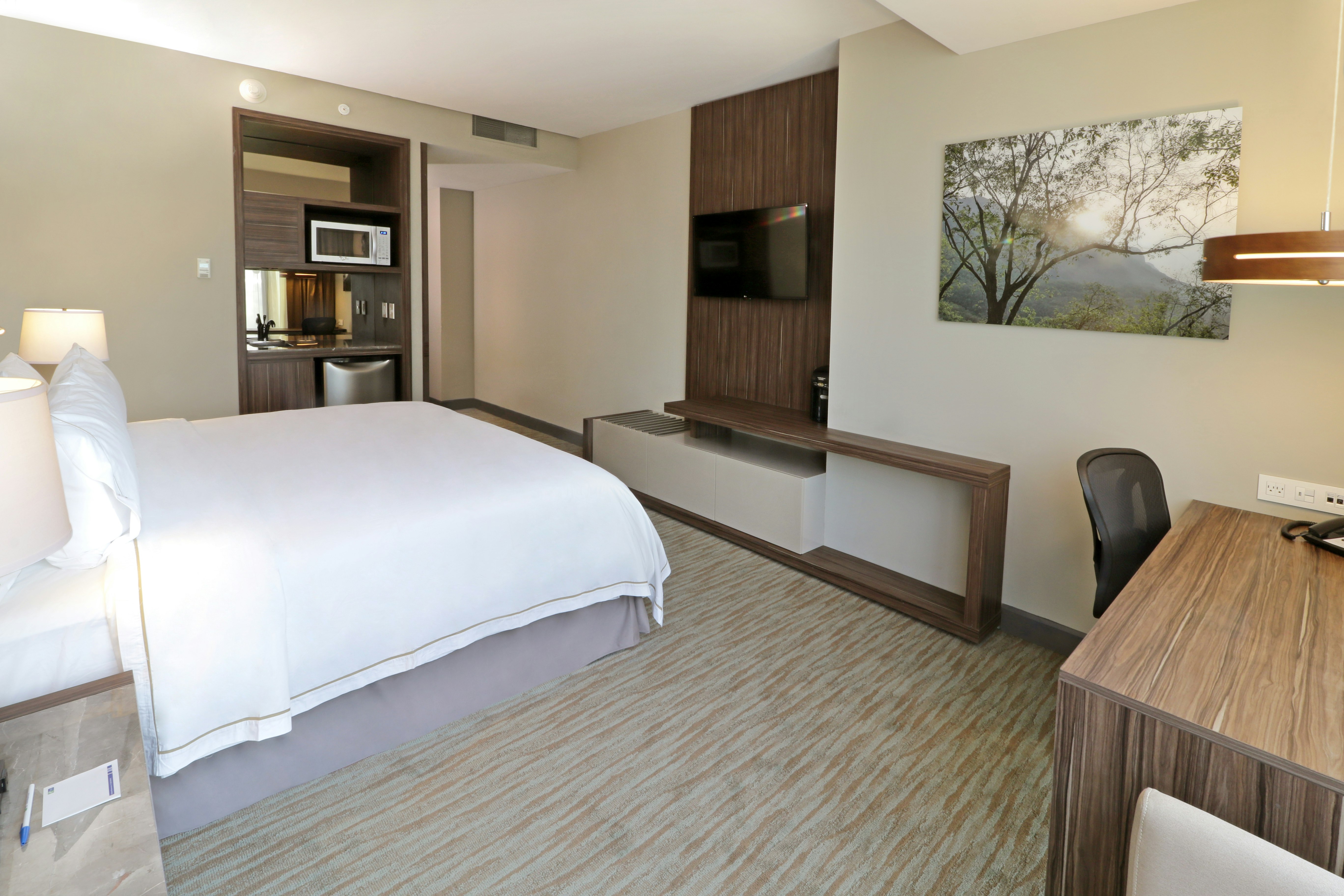 Holiday Inn Express Suites Monterrey Valle 30/74