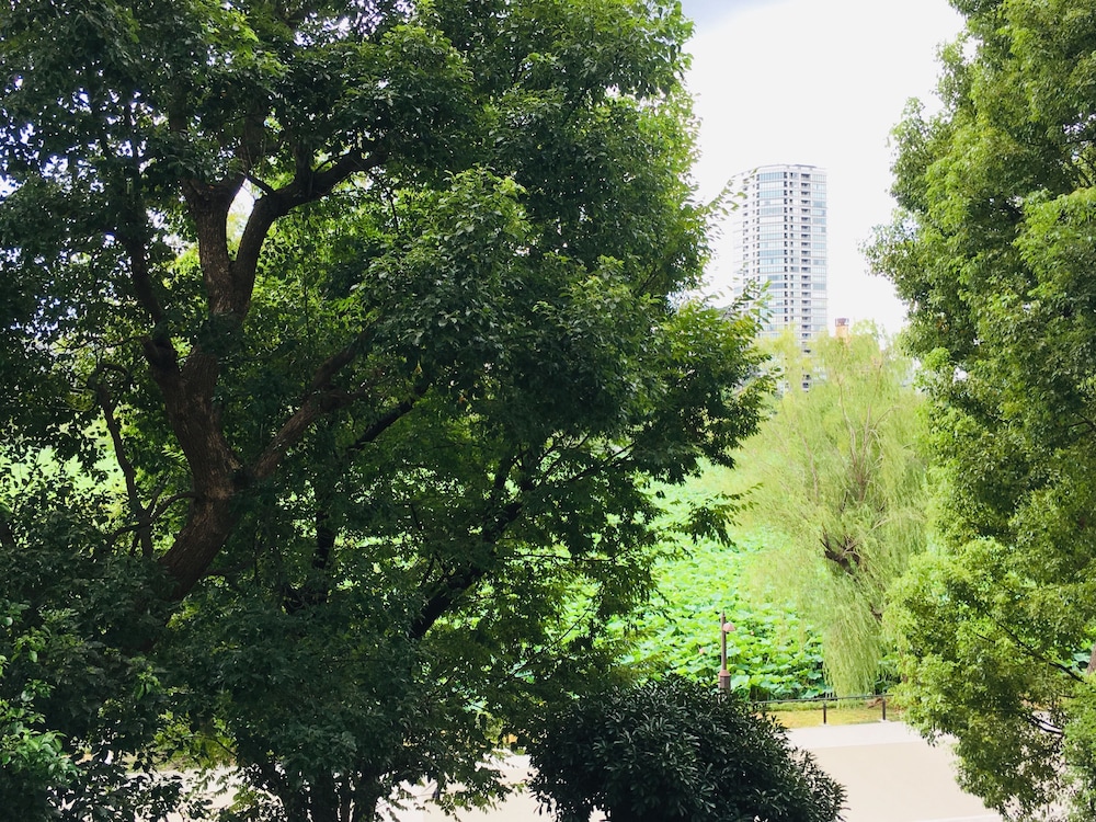 surroundings