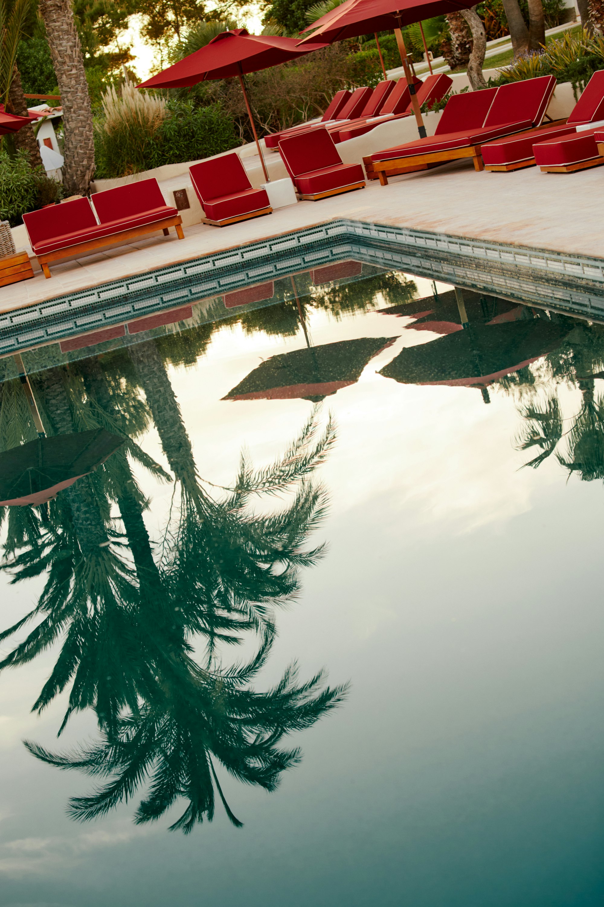 Petunia Hotel Ibiza 4/50