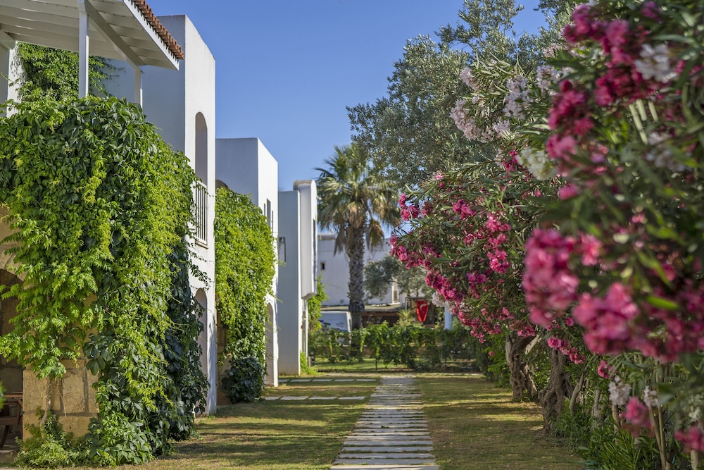 Casa dell Arte Hotel of Arts and Leisure 44/55