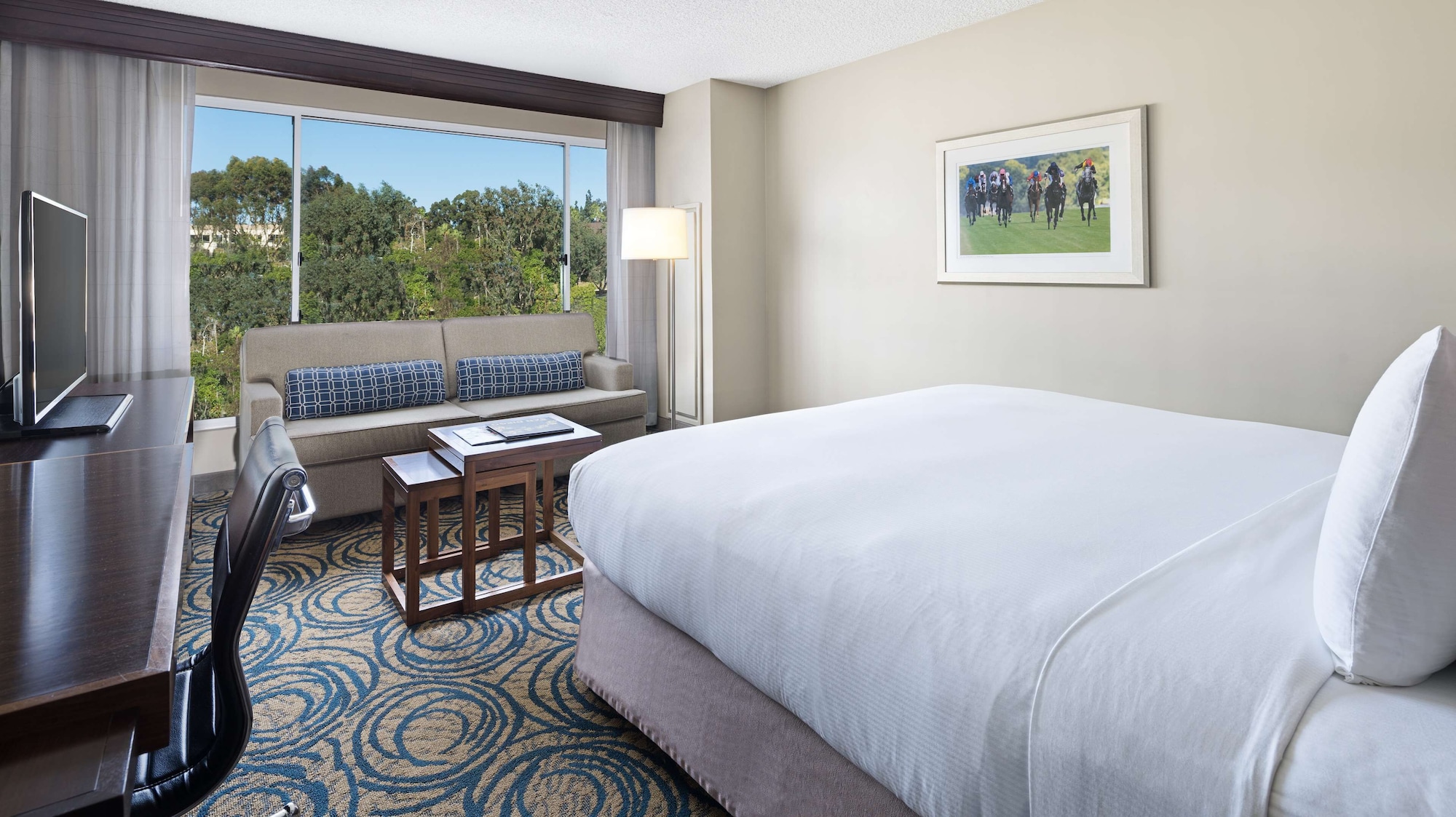 JUNIOR SUITE, KING BED, CITY VIEW, ACCESSIBLE