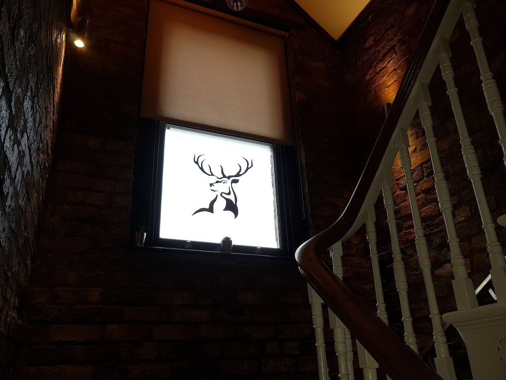 The Glebe Hotel 17/23