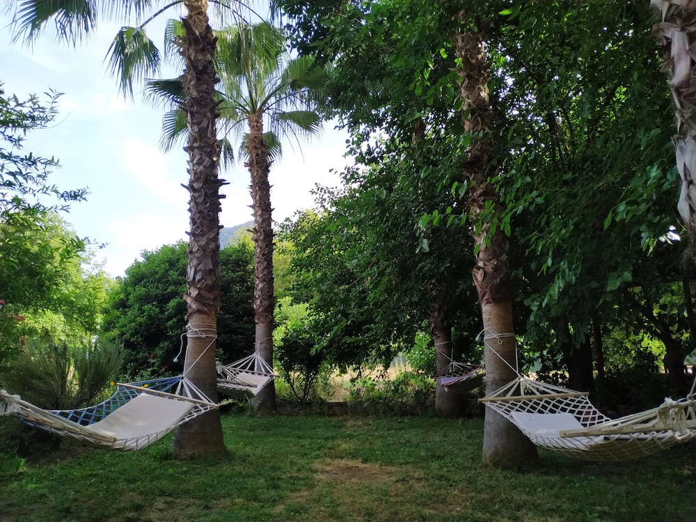 Olympos Yavuz Hotel 23/38
