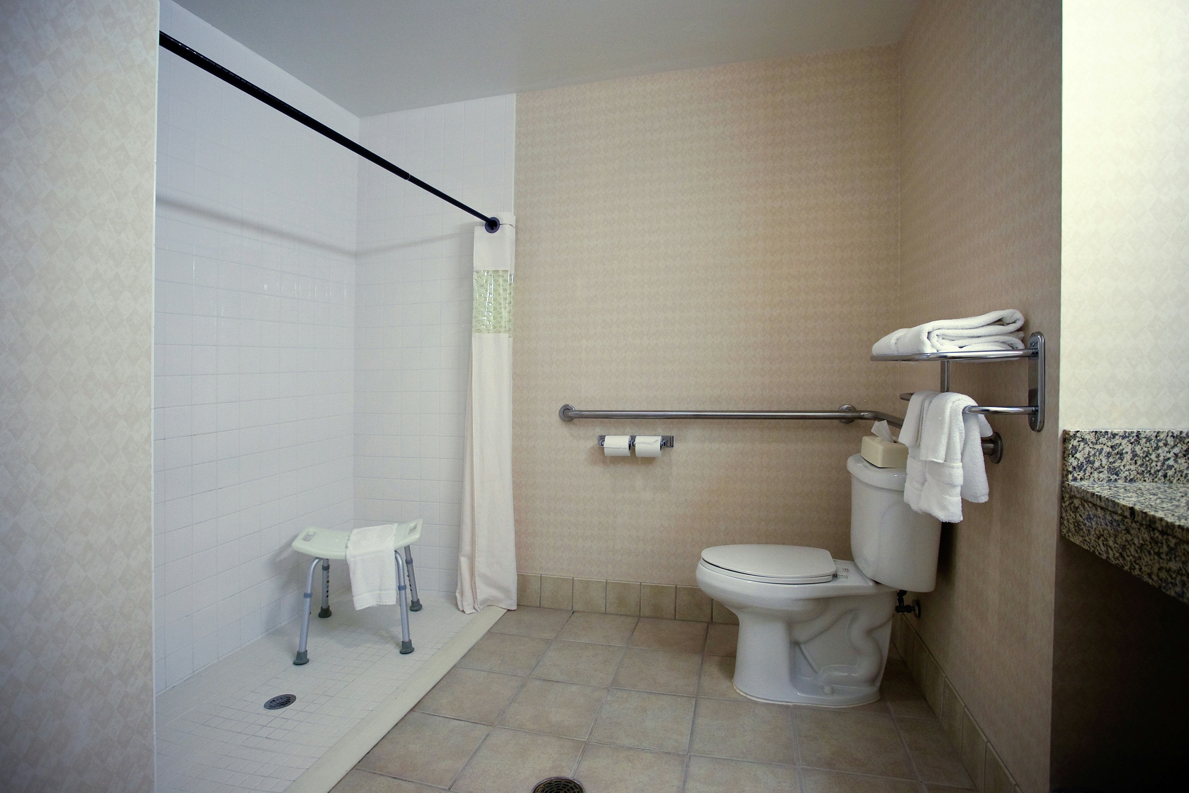 Hampton Inn Carrollton, GA 73/75