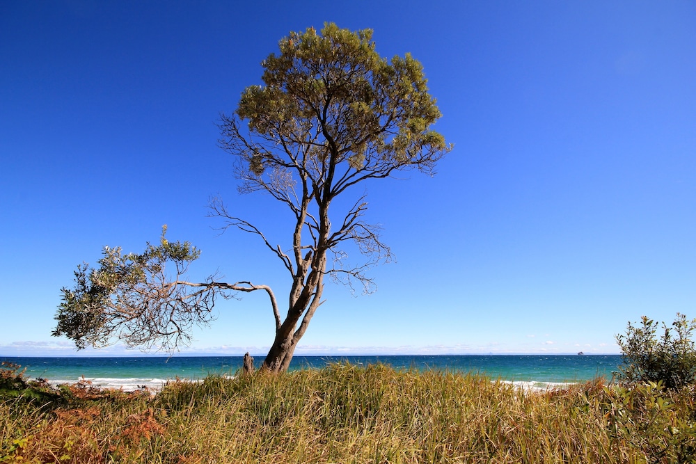 Tangalooma Island Resort 35/54