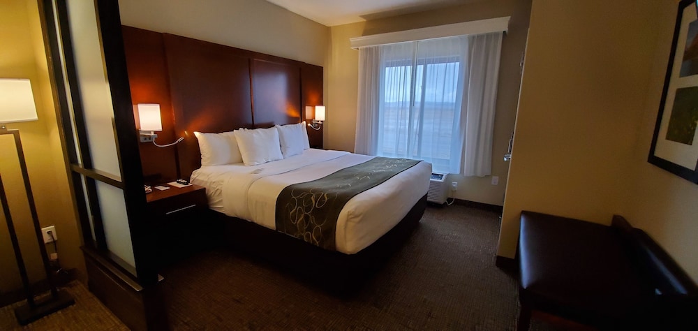 Comfort Suites Helena Airport 9/36