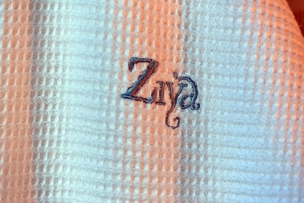 Ziya Hotel 29/67