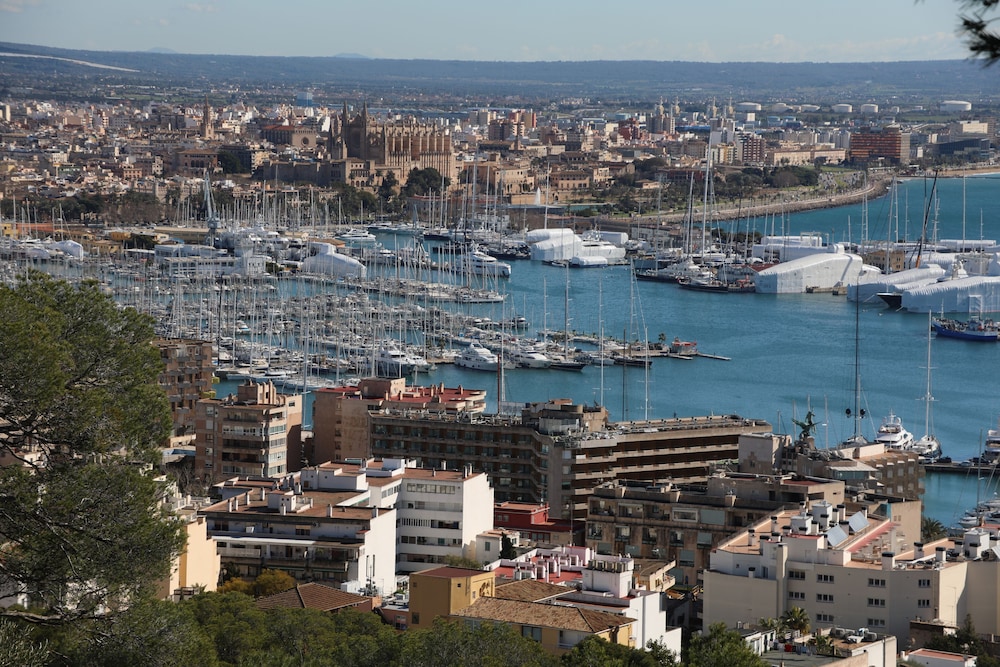 Sercotel Zurbaran Palma 58/64