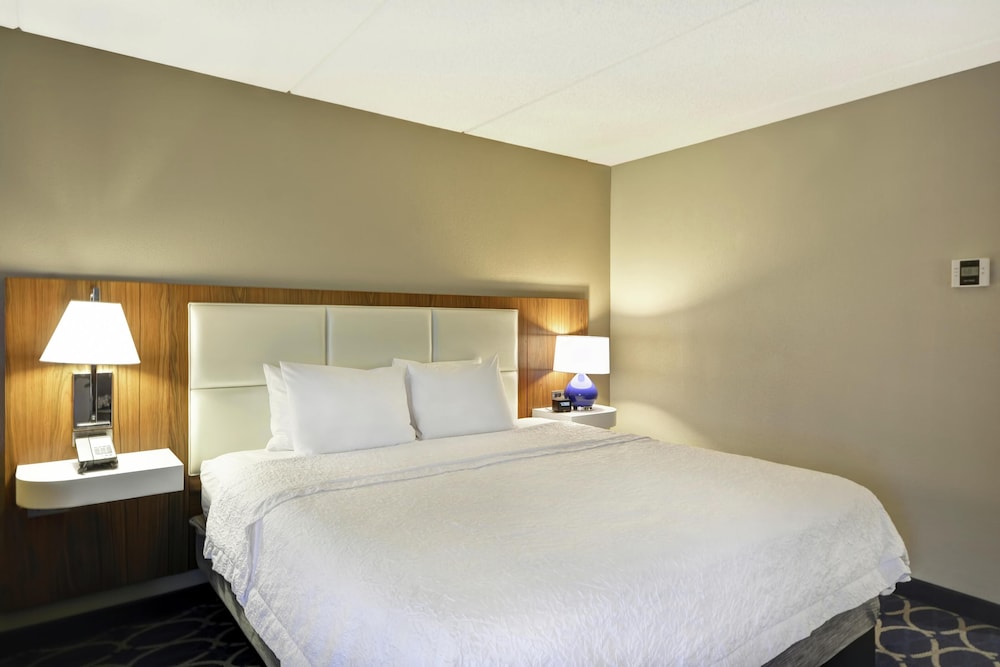 غرفة بسرير كينج مع أريكة لذوي الإعاقة، Hampton Inn Auburn 3/4