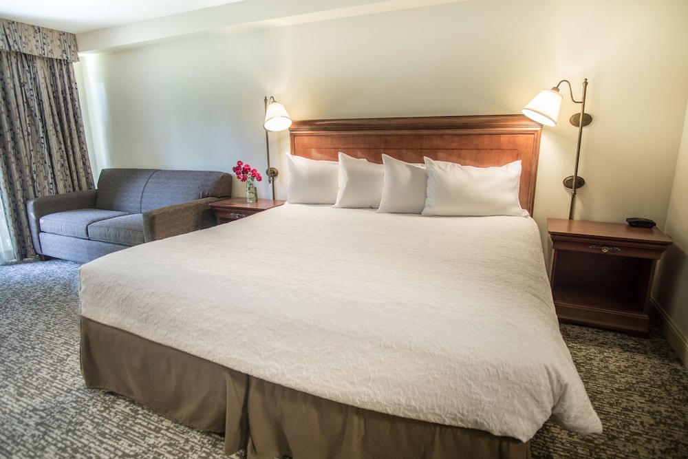 Room, King Bed, Mountain View