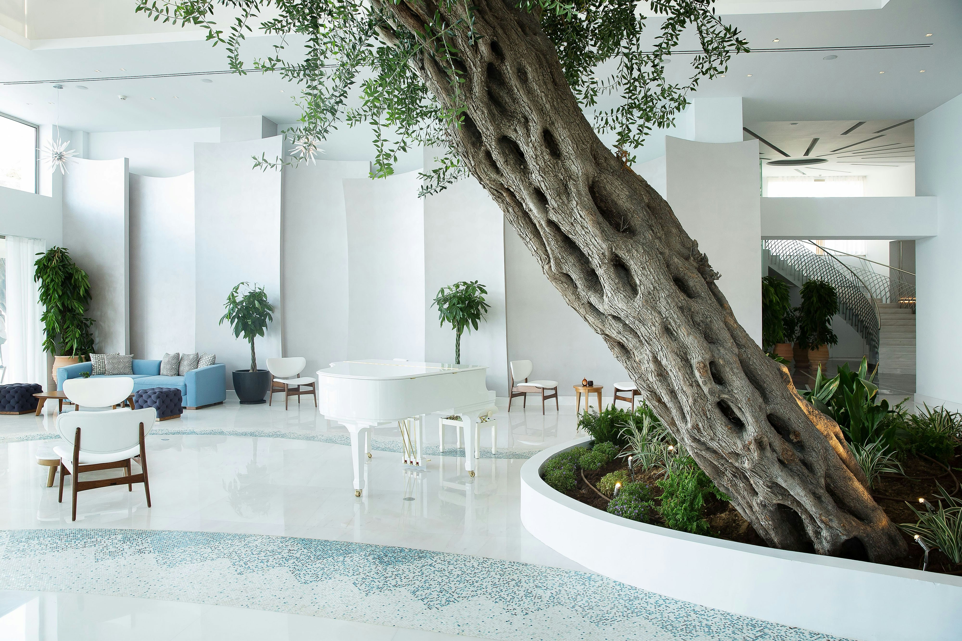 Domes Miramare, a Luxury Collection Resort, Corfu - Adults Only 21/39