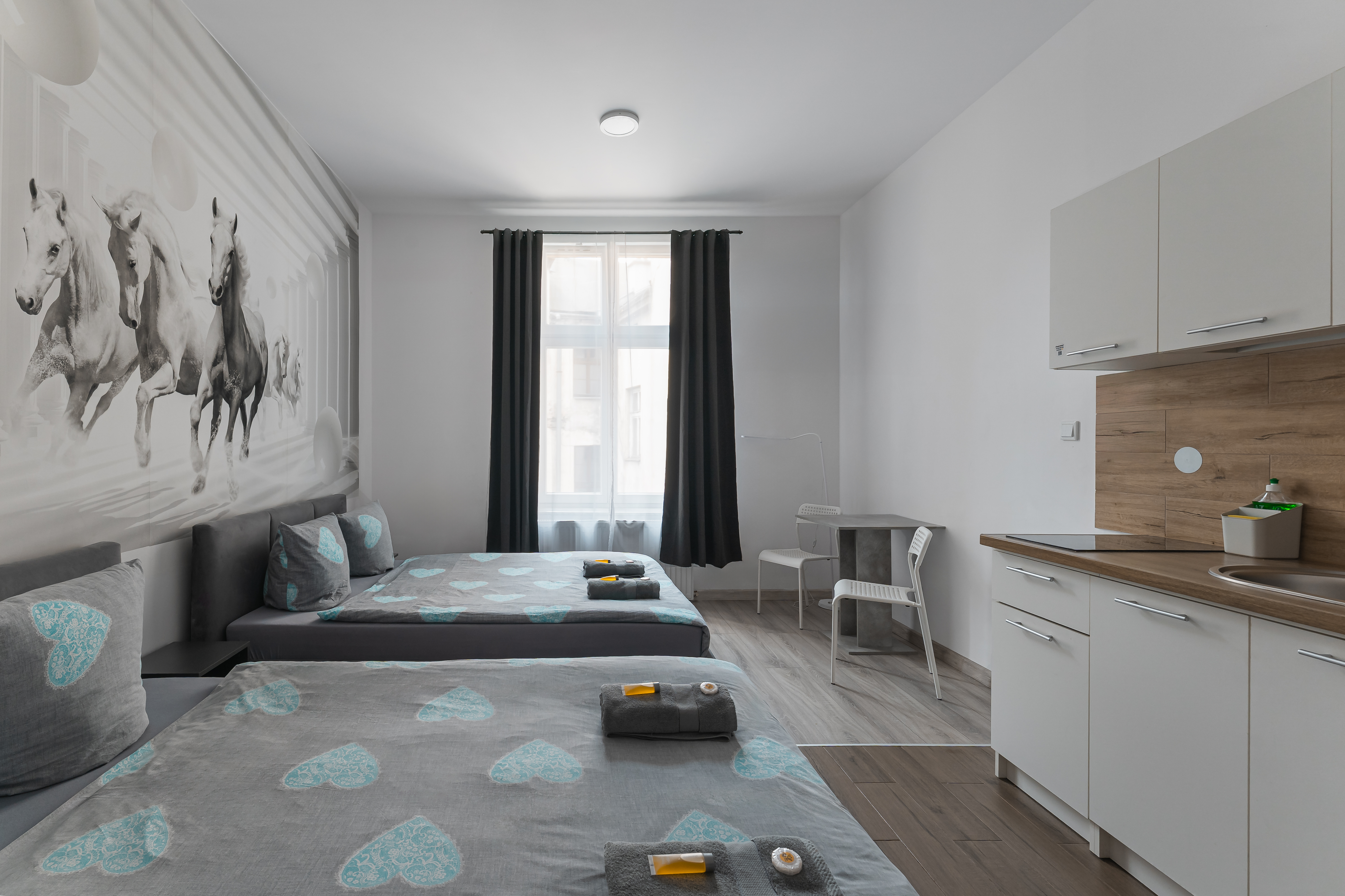 Queens Apartments 23/50