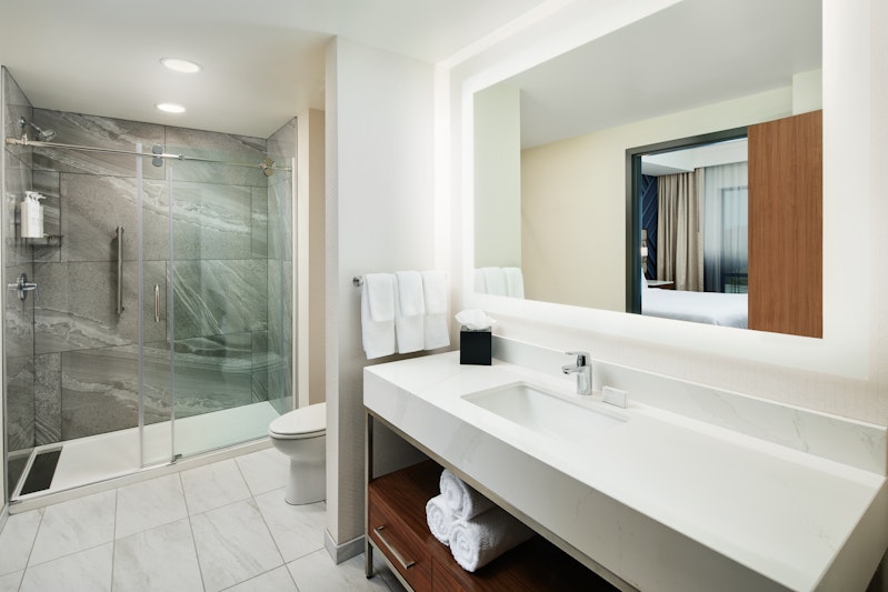Embassy Suites by Hilton Atlanta Airport North 29/29