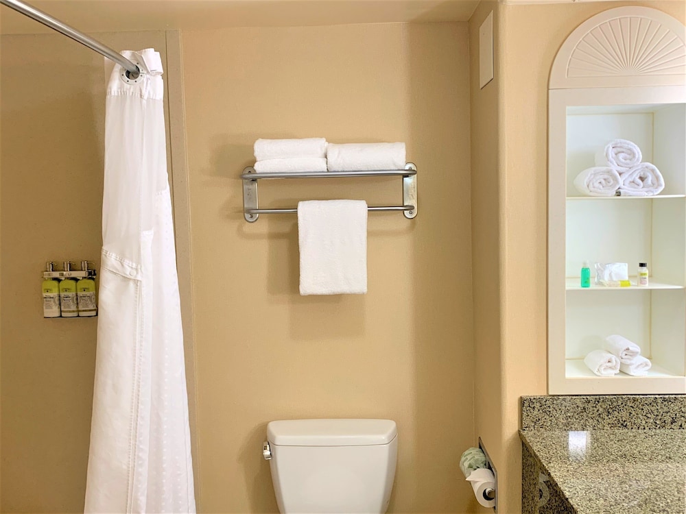 Holiday Inn Express Hotel and Suites Fresno Northwest-Herndon 14/42
