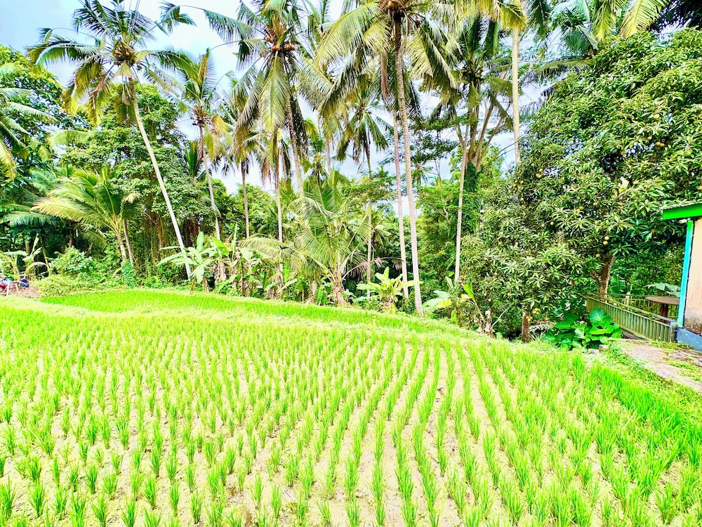 Dupa Ubud Villa 59/72